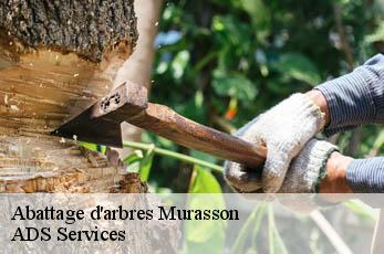 Abattage d'arbres  murasson-12370 ADS Services