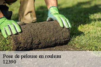 Pose de pelouse en rouleau  12390