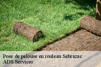 Pose de pelouse en rouleau  sebrazac-12190 ADS Services