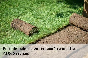 Pose de pelouse en rouleau  tremouilles-12290 ADS Services