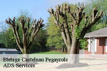 Etetage  castelnau-pegayrols-12620 ADS Services