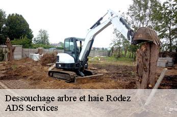 Dessouchage arbre et haie  rodez-12000 ADS Services