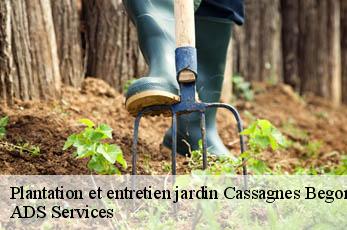 Plantation et entretien jardin  cassagnes-begonhes-12120 ADS Services