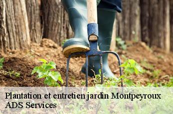 Plantation et entretien jardin  montpeyroux-12210 ADS Services