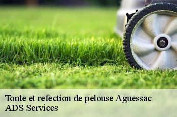 Tonte et refection de pelouse  aguessac-12520 ADS Services