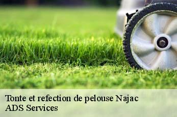 Tonte et refection de pelouse  najac-12270 ADS Services