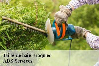 Taille de haie  broquies-12480 ADS Services