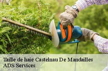 Taille de haie  castelnau-de-mandailles-12500 ADS Services