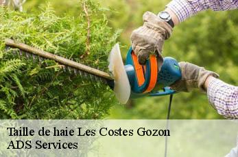 Taille de haie  les-costes-gozon-12400 ADS Services