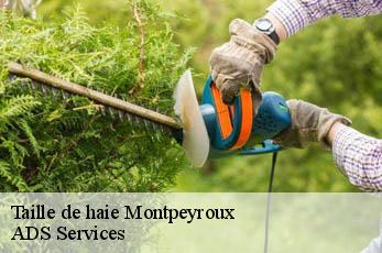 Taille de haie  montpeyroux-12210 ADS Services