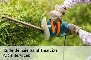 Taille de haie  saint-beaulize-12540 ADS Services